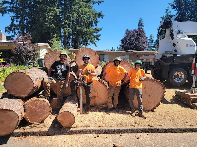 The Haskins Tree Care crew in the Snoqualmie Valley