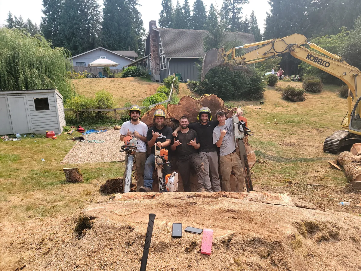 Tree care crew posed with a freshly cut tree section, Duvall WA