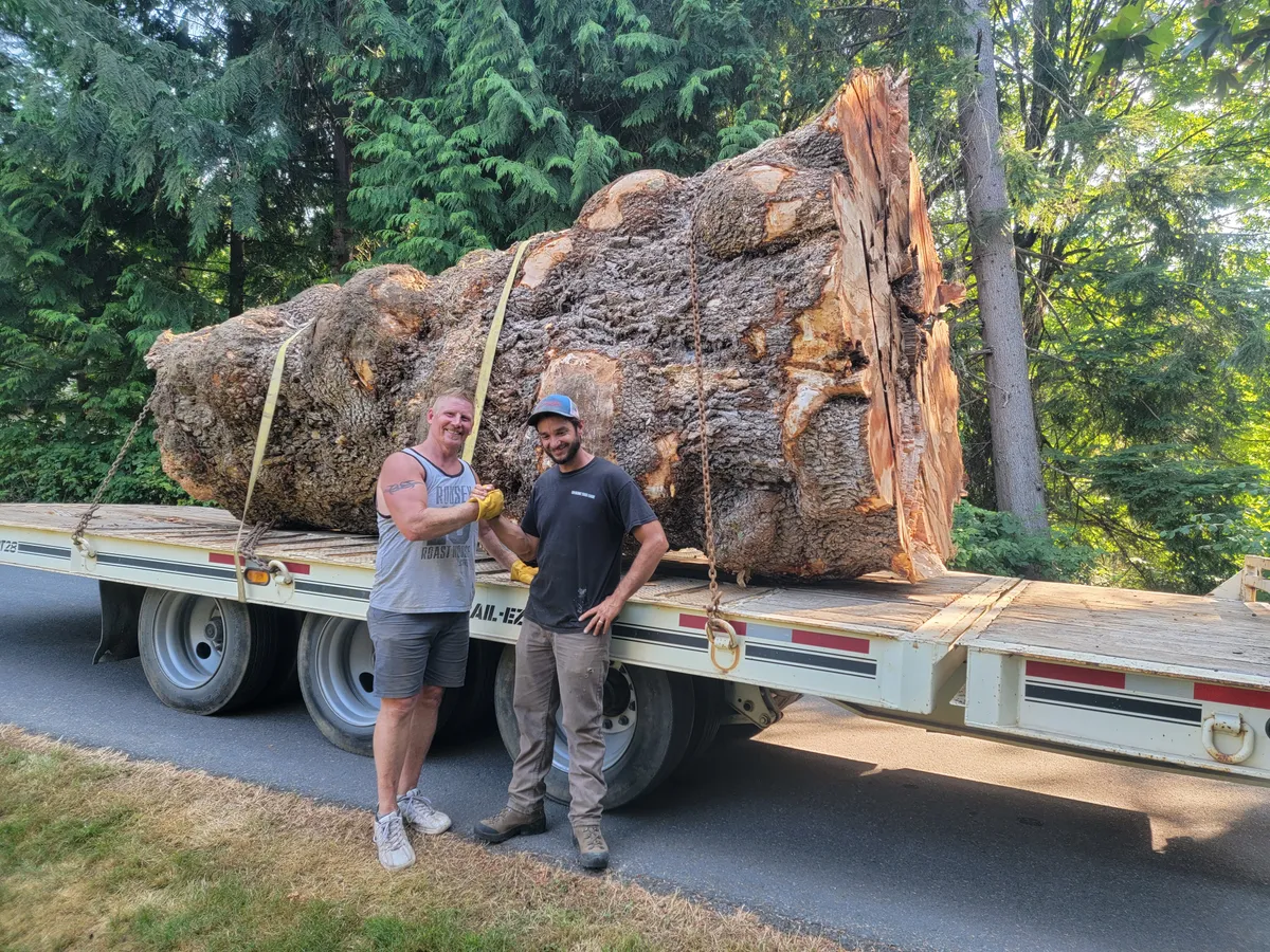Crew with a large cedar log section loaded onto a flatbed trailer