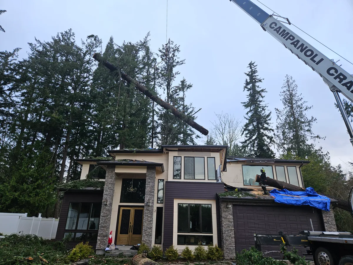 Crane lifting the tree section clear of the roof