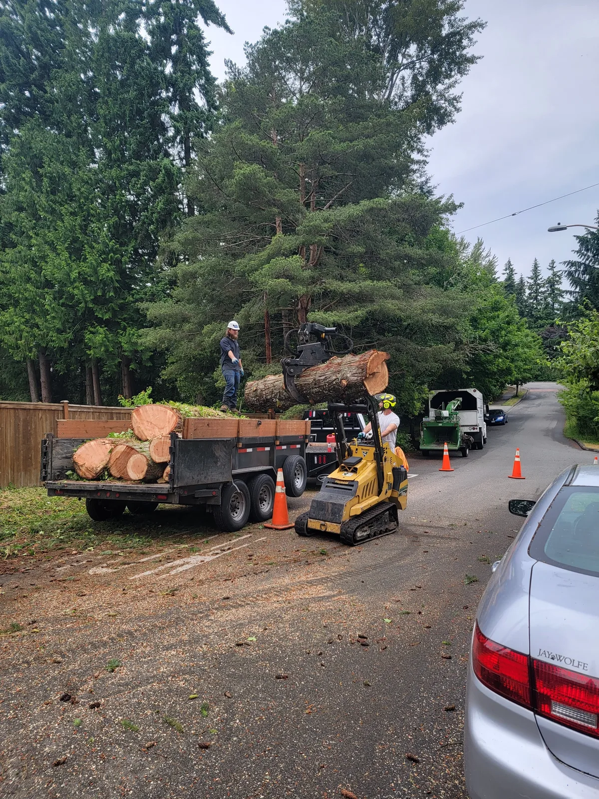 Full chipping operation with logs loaded on flatbed trailer, mini skid steer, and wood chipper processing debris on site