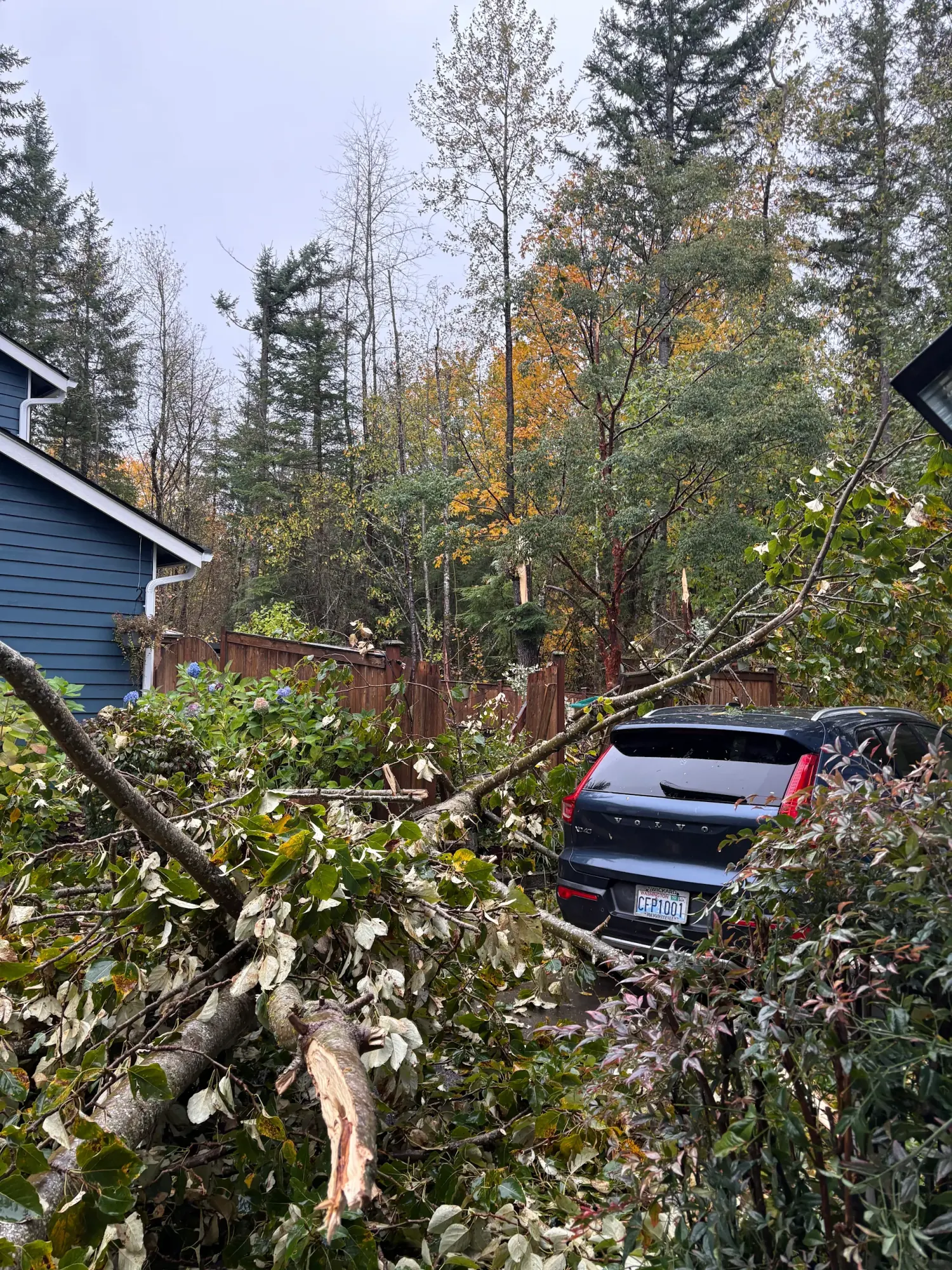 Emergency crew responding to a storm-damaged tree on a roof in Carnation, WA